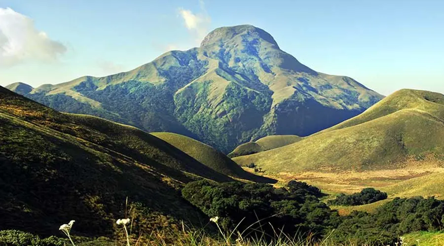 Anamudi Shola National Park